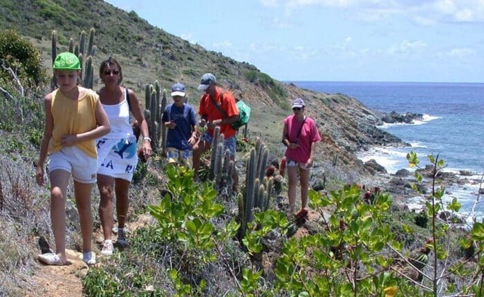 Guana Bay Hike