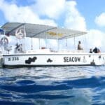 Snorkel Trip Klein Bonaire