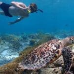 Tour de snorkel en el Parque Marino