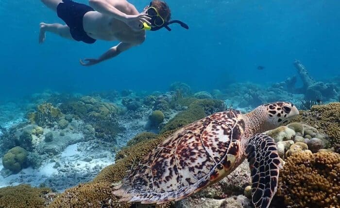 Tour de snorkel en el Parque Marino