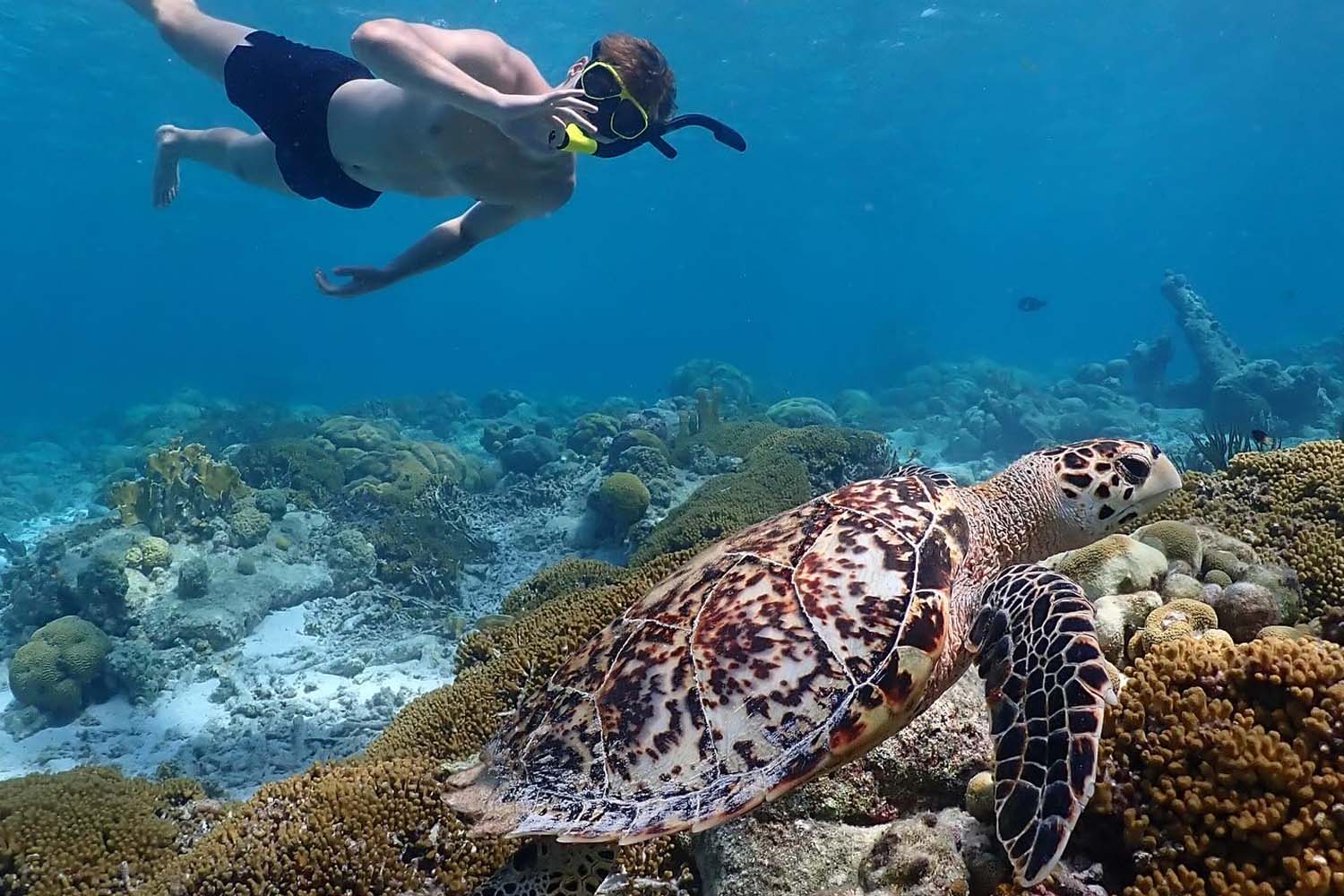 Tour de snorkel en el Parque Marino