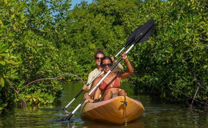 Centro de kayak de manglares
