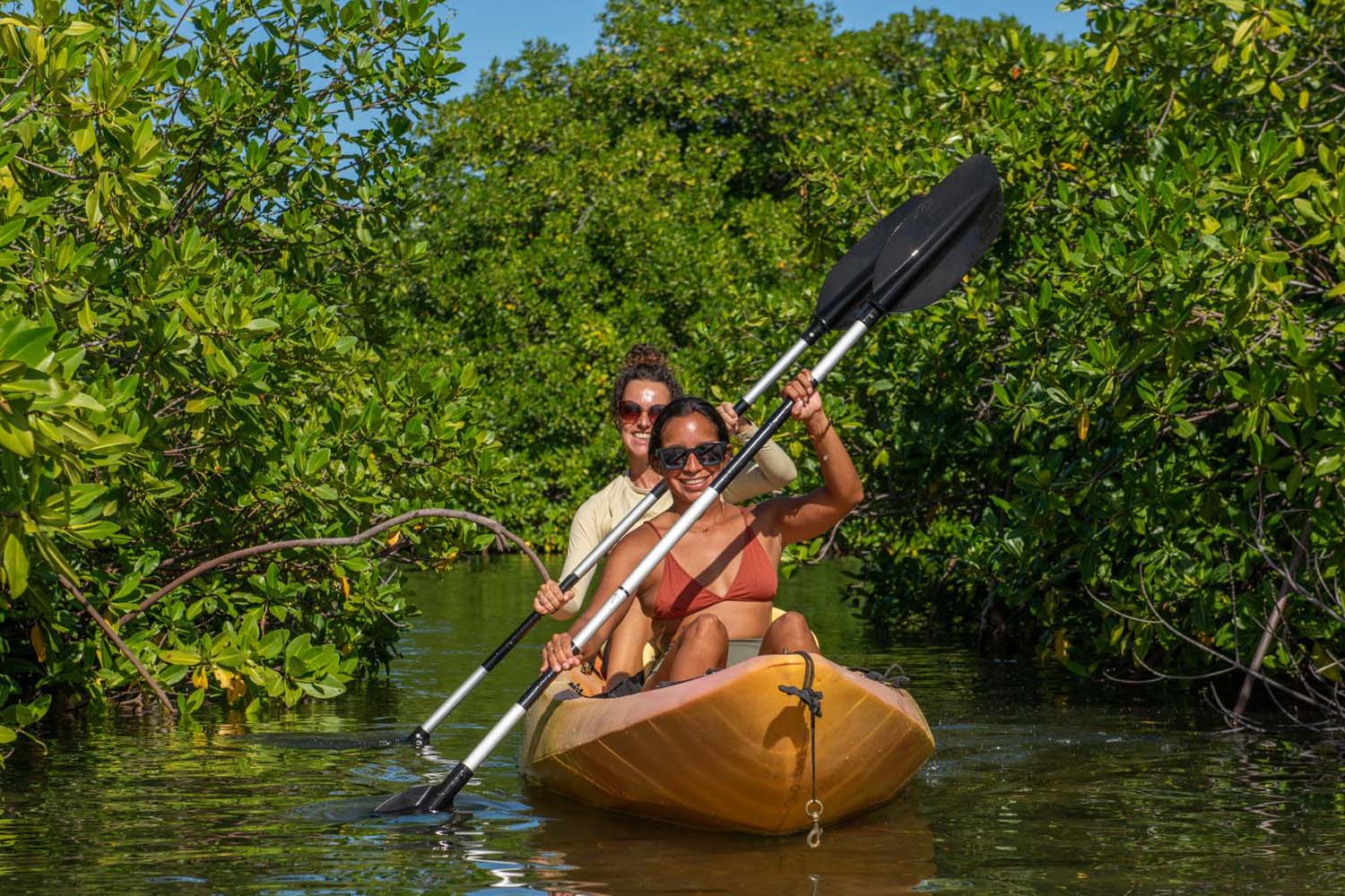 Centro de kayak de manglares